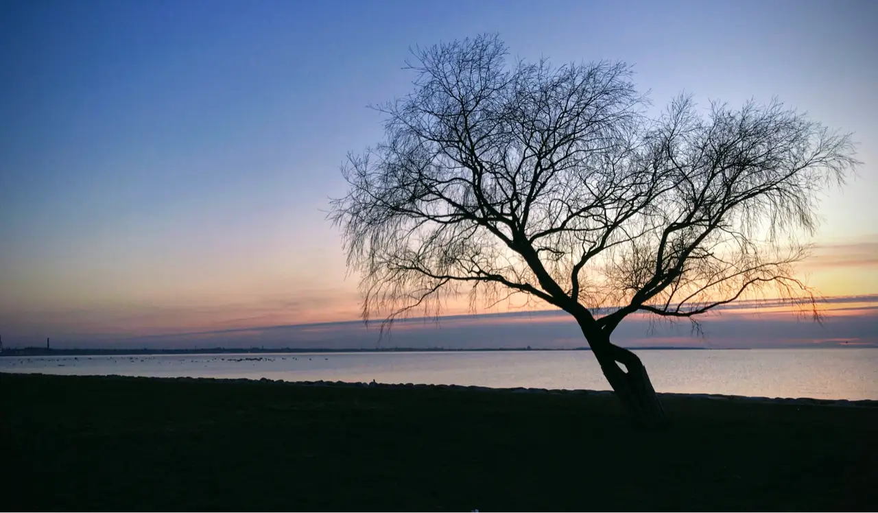 In the end, we only regret the chances we didn’t take