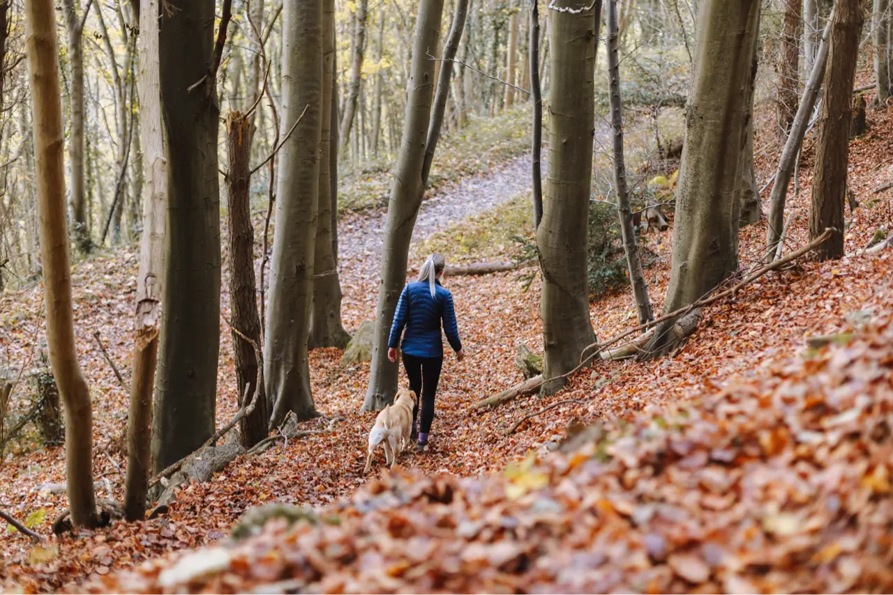 Adventures are the best way to learn
